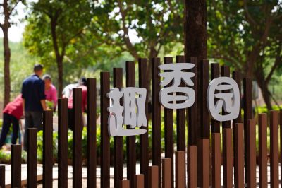 草坪变身社区共建花园，光明街道居民齐点赞