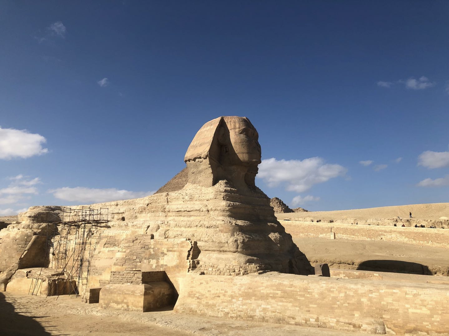 埃及曼努菲亚省挖掘出“金舌”木乃伊