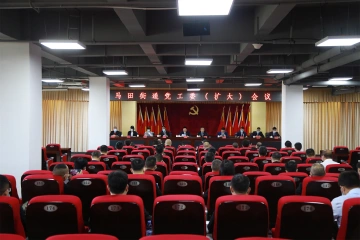 马田街道召开党工委（扩大）会议，推动学习贯彻活动广泛开展