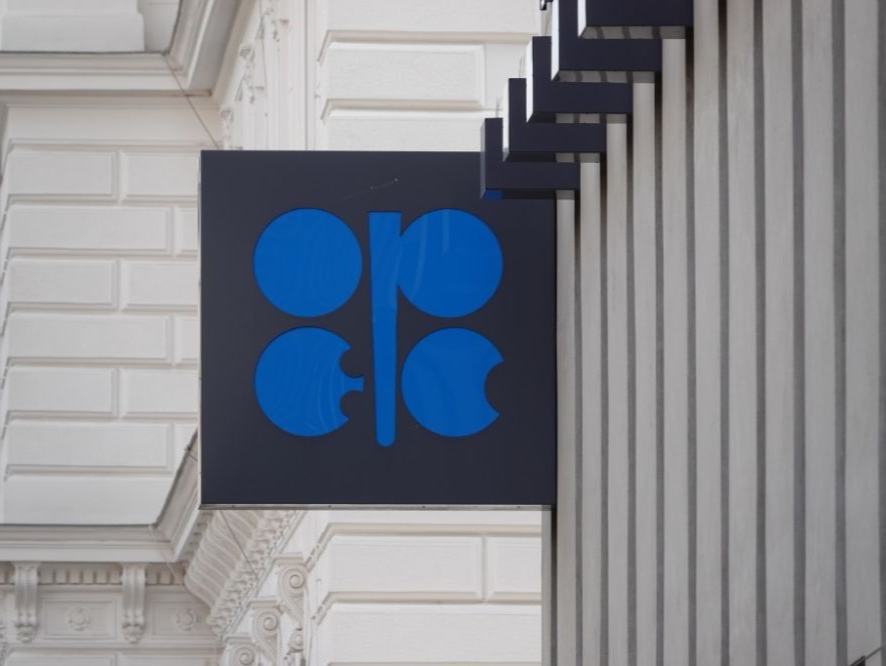 阿联酋：“欧佩克+”在平衡石油供需方面“值得信赖”