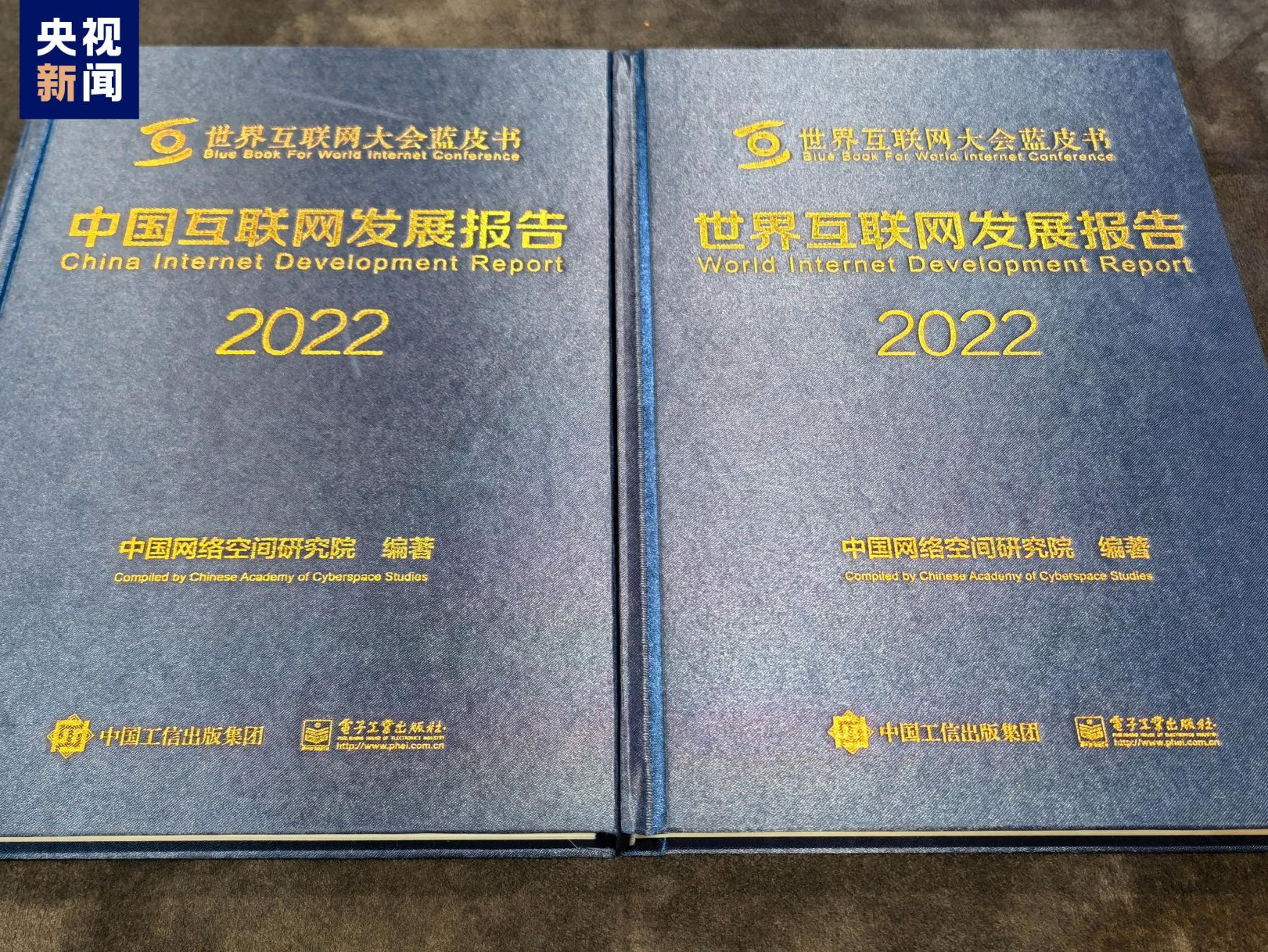 2022年世界互联网大会蓝皮书发布