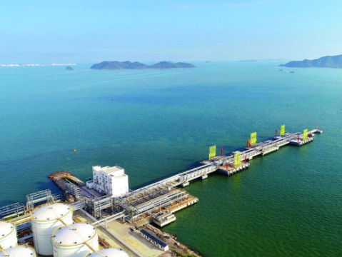 惠州港荃湾港区5万吨级石化码头通过对外开放验收