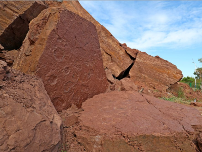 远古发现丨福建发现大面积对板保存的恐龙“脚印”