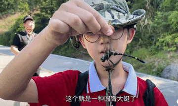 科普数百种昆虫！这个12岁男孩实力圈粉