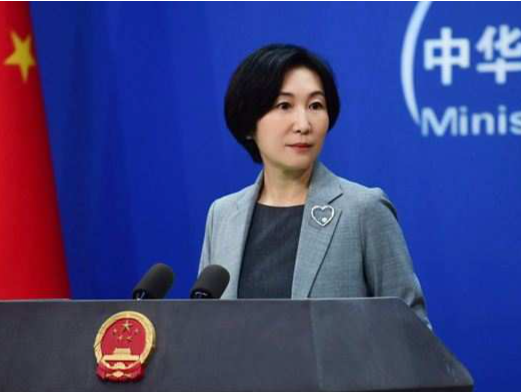 达苏恐袭案已判，外交部：是对遇难中国同胞的告慰