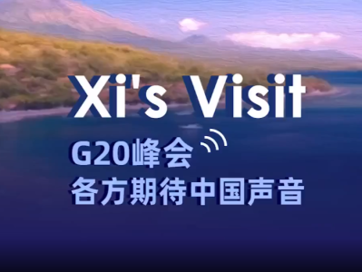 领航工程 | 习近平主席出席G20峰会，各方期待中国声音