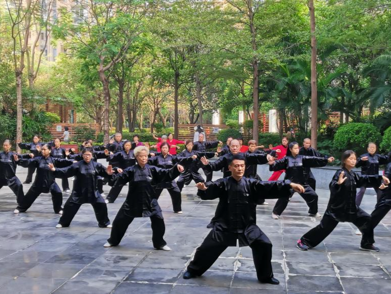 南山区风华社区开展传统武术进社区之陈氏太极拳系列活动