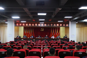 马田街道召开专题会议传达贯彻党的二十大精神 推动党的二十大精神在马田落地生根