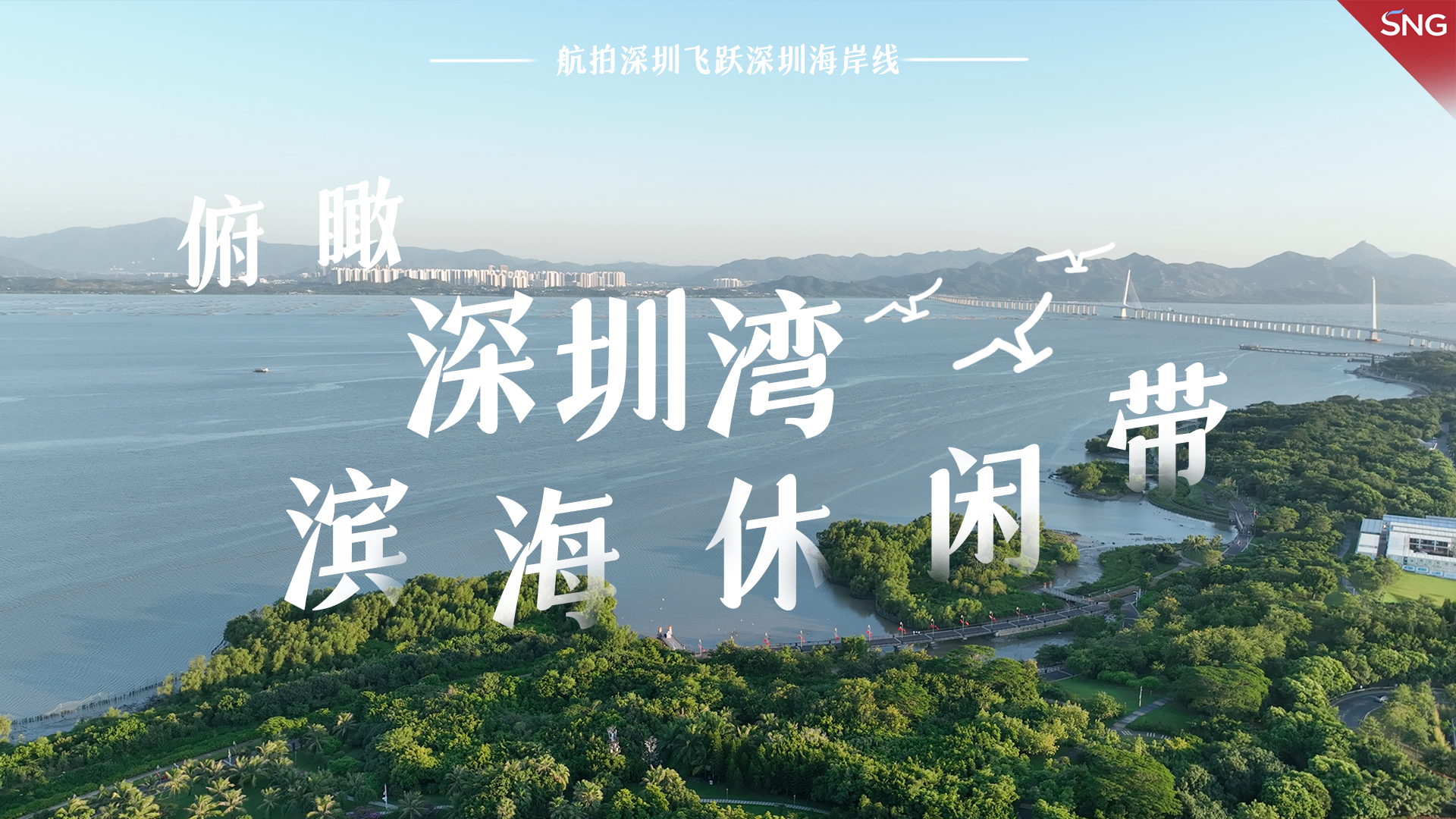 科创赋能 共享深蓝 | 俯瞰深圳湾滨海休闲带