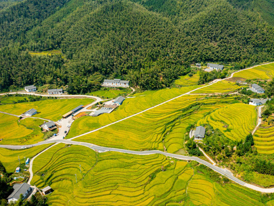 今年底我国将累计建成高效节水灌溉面积超过4亿亩