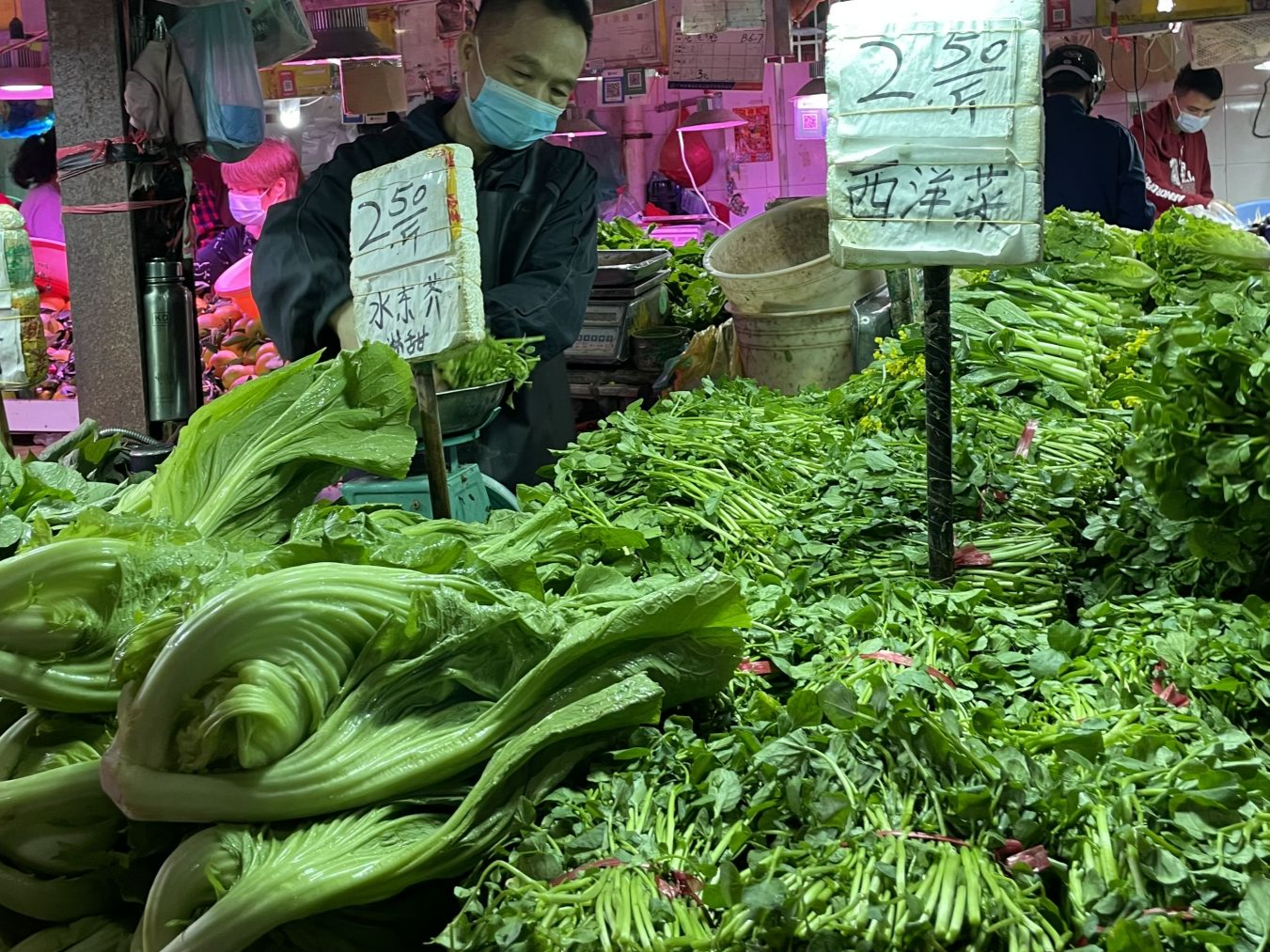 广州本地蔬菜上市，成交量上升近2成