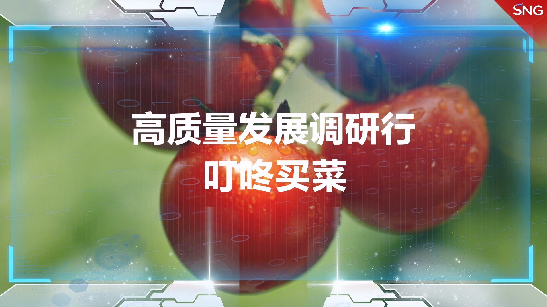 高质量发展调研行之叮咚买菜