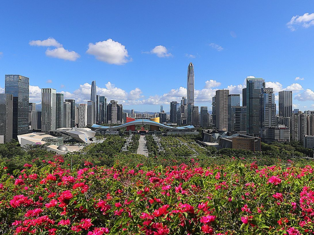 触手可及的公平正义暖民心 深圳法律援助改革在基层实践中开花结果