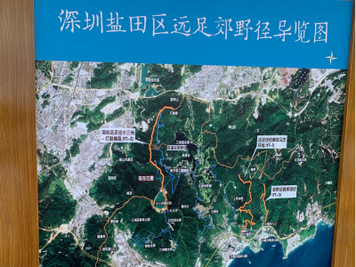 总长16.8公里！深圳盐田区郊野径将为市民游客提供多样徒步路线
