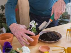 最新研究：从事园艺活动有助老年人身心健康，十年死亡风险更低