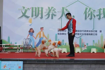 树文明养犬新风 玉塘街道开展“文明养犬，你我同行”系列宣传活动