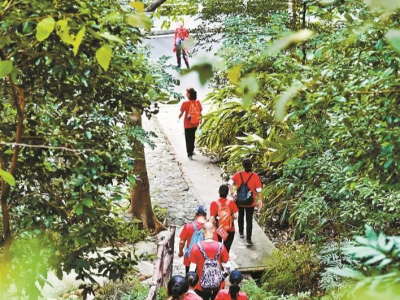 深圳盐田区举办第二届“半山公园带健步行活动”