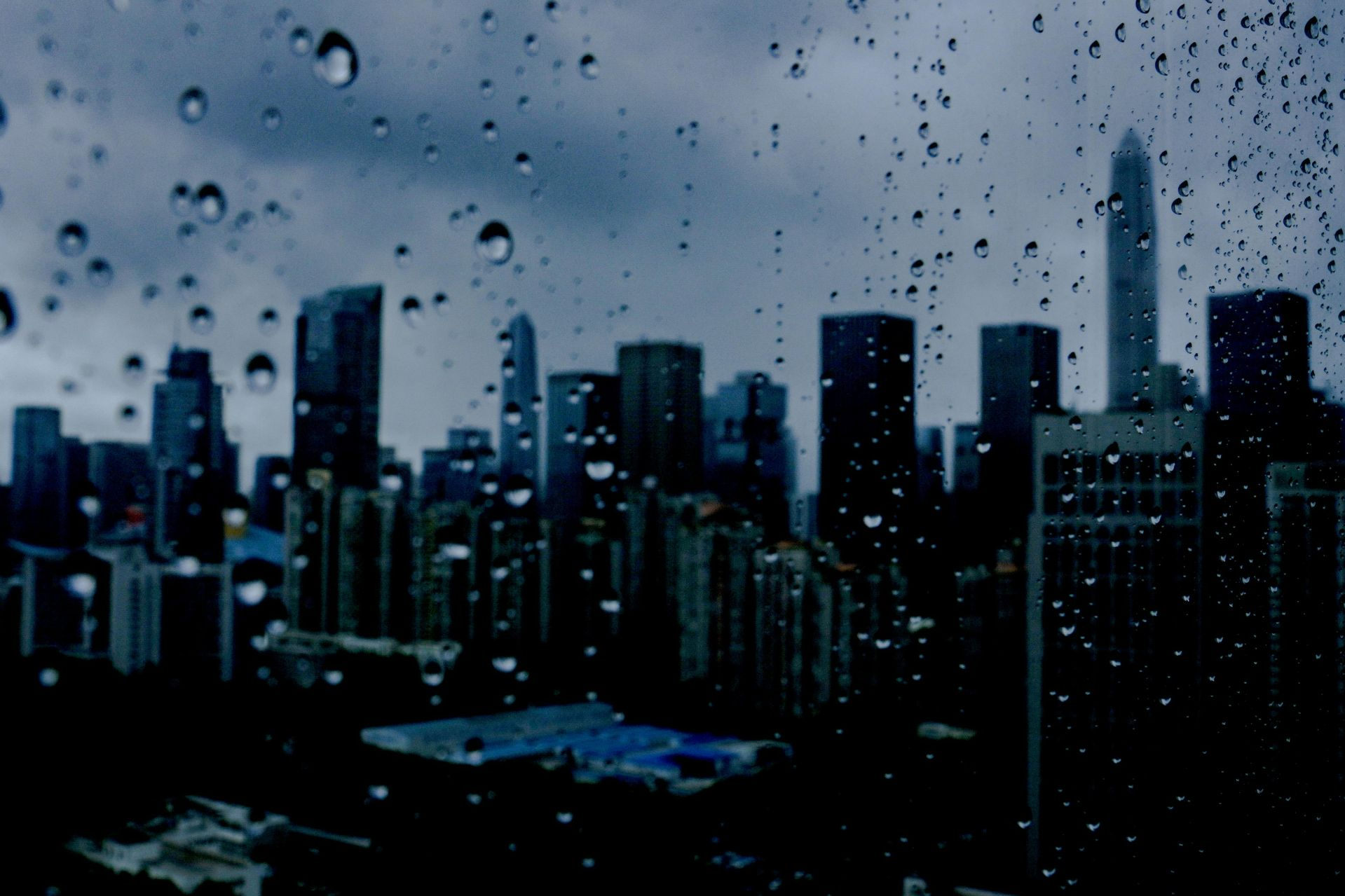 “尼格”加强为台风级，深圳降温降雨情况如何？