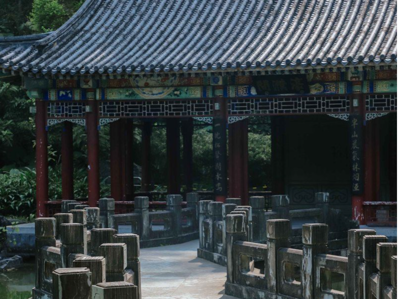藏在闹市中的宝藏园林，打卡深圳国际园林花卉博览园