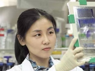 科学家颜宁拟全职归国，加盟深圳！