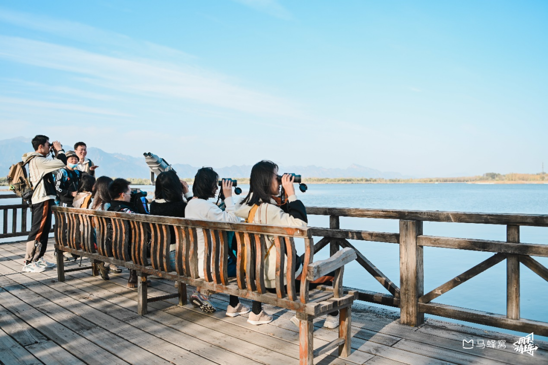 多地迎来“观鸟”黄金期，深圳湾公园热度高涨100%  