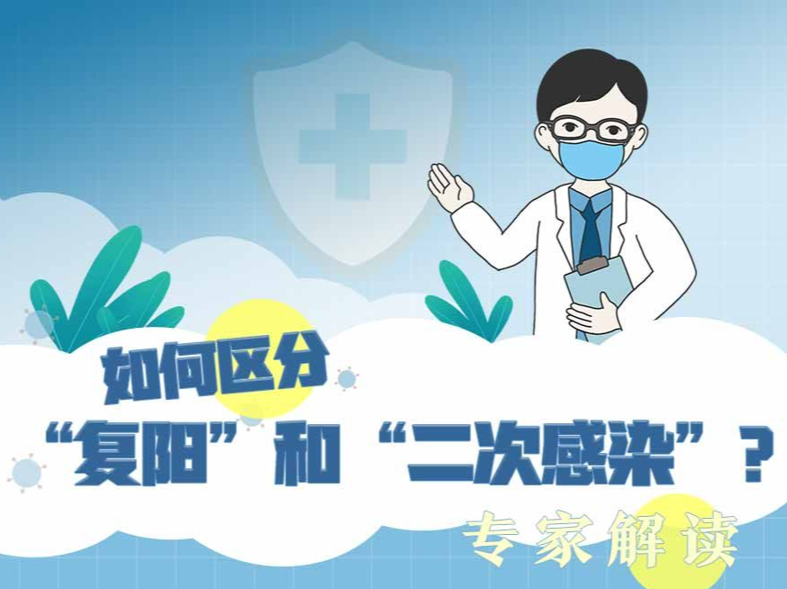 海报｜如何区分“复阳”和“二次感染”？专家解答