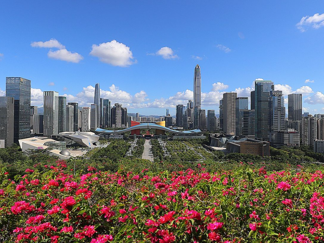 “打造城市文明典范为中国式现代化的深圳示范探路”，深圳举行高端学术沙龙研讨发展前景