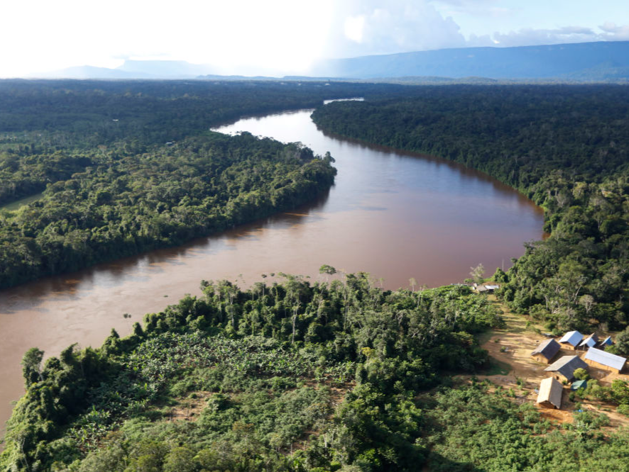 巴西亚马孙地区本年度森林砍伐面积下降11%
