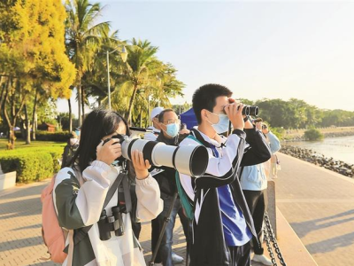 记录到超过100种野生鸟类！深圳福田区举行第二十三届青少年观鸟竞赛