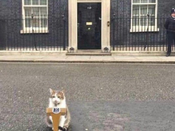 2022年终盘点·国际聚焦 | 英国首相接连换人