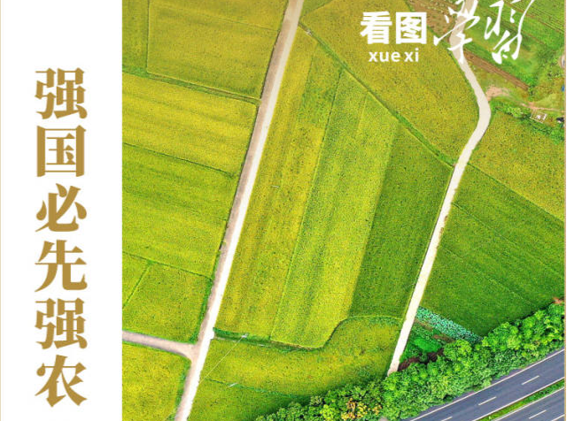 看图学习丨强国必先强农 农强方能国强