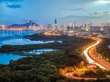 我帮企业找市场·赶海记｜深圳各行业协会：助企爬坡过坎，包机“出海”抢单