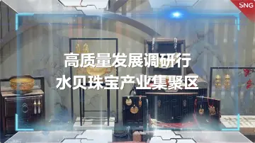 高质量发展调研行之水贝珠宝产业集聚区