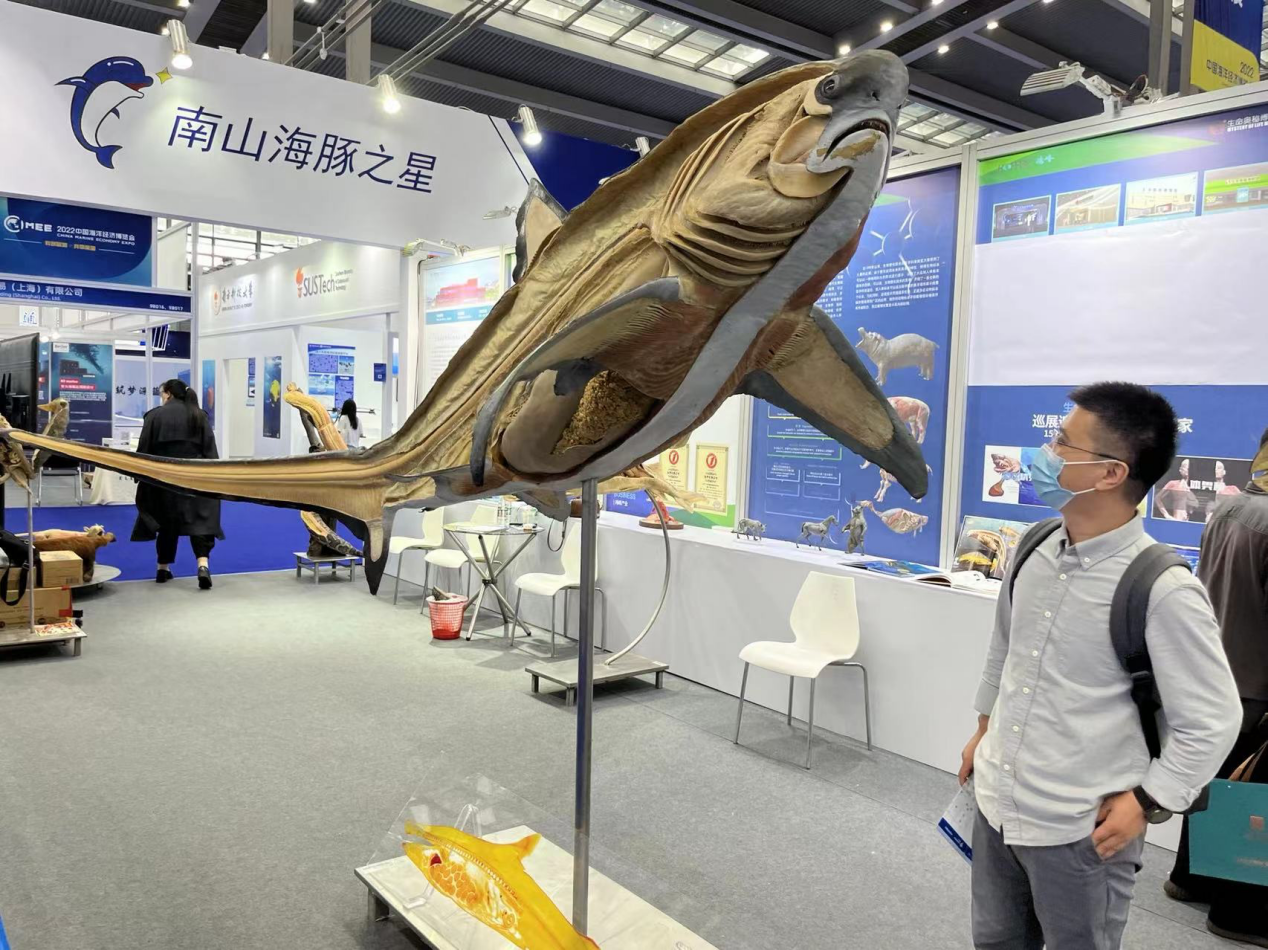 一文尽览：2022中国海洋经济博览会精彩回顾