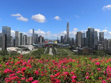 深圳：以先行示范标准推进智慧城市和数字政府建设