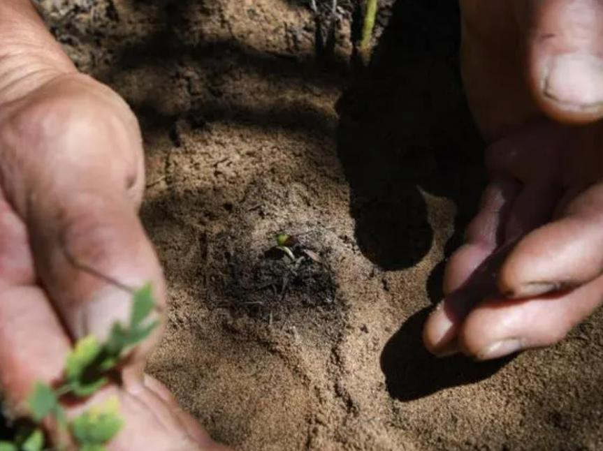 江门市印发第三次全国土壤普查实施方案