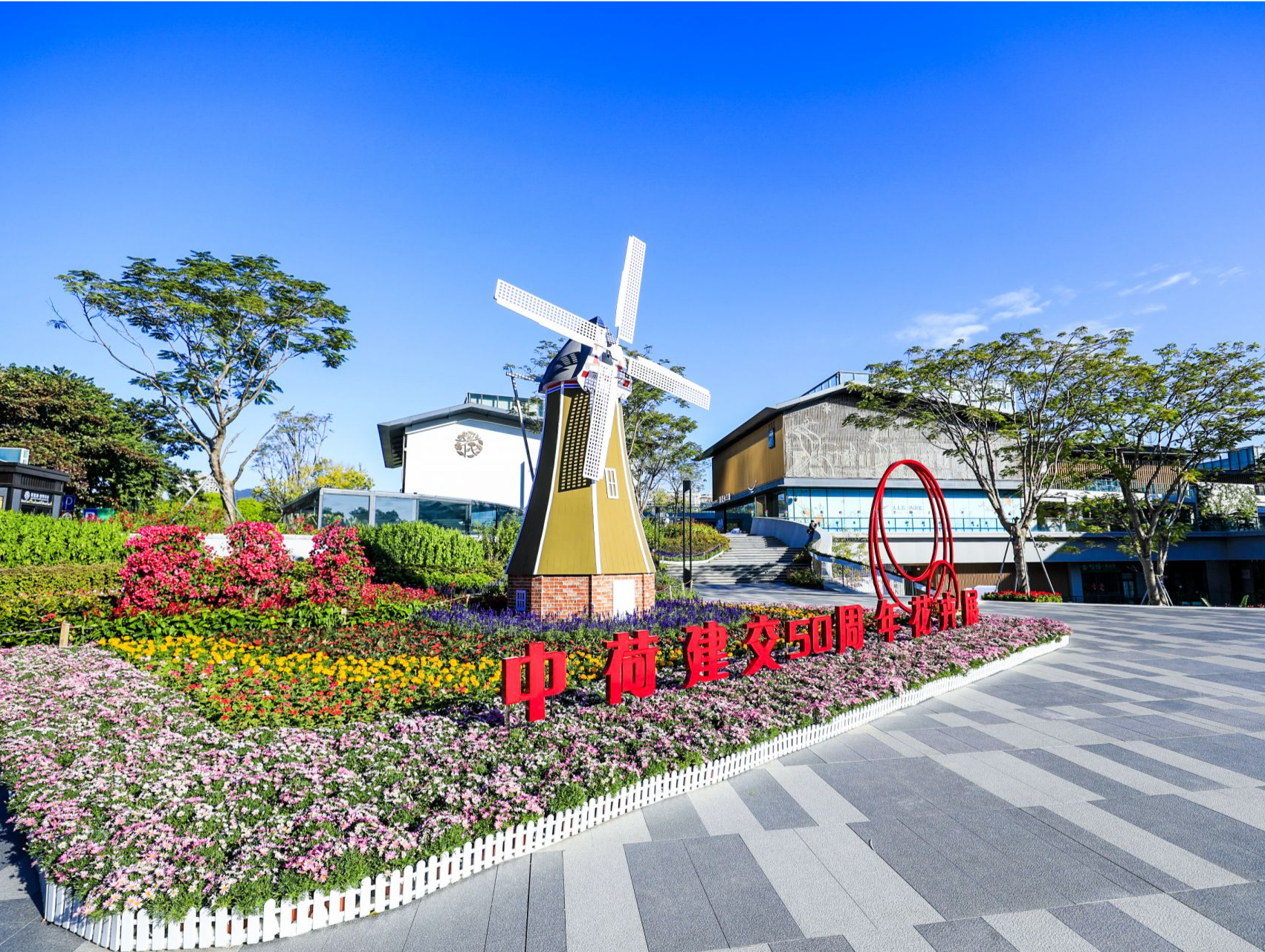来香蜜湖赏郁金香！中荷建交50周年花艺装置展深圳站揭幕