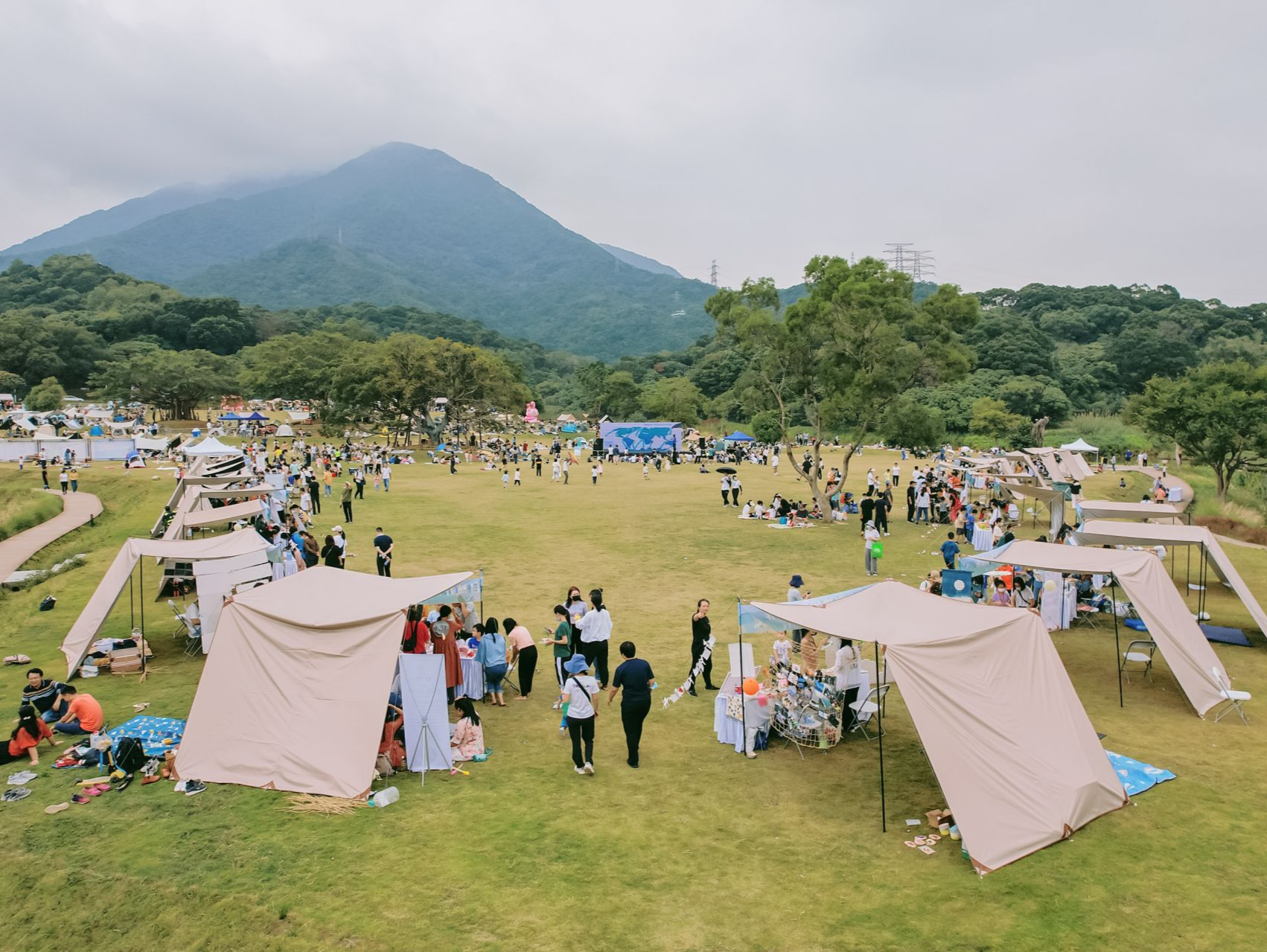 全省唯一！梧桐山国家森林公园入选国家青少年自然教育绿色营地