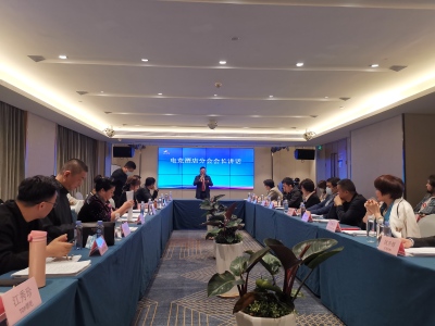 深圳市文化市场行业协会电竞酒店分会揭牌成立