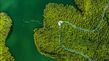 深圳受邀参加COP15第二阶段会议  “地域最小超大城市”展示生物多样性之美