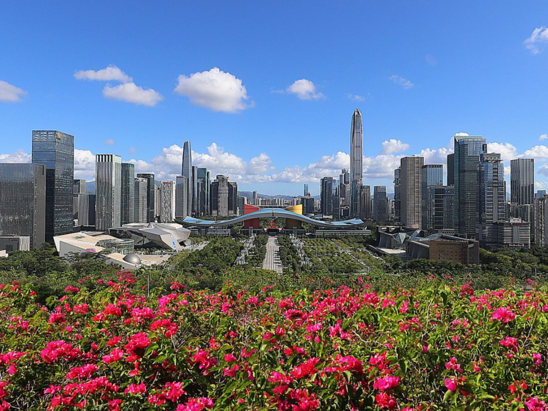 深圳市各区开设24小时暖心服务热线