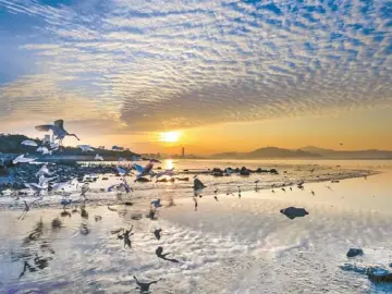 向世界展现深圳生物多样性之美！这场国际性峰会上，深圳实践广受关注