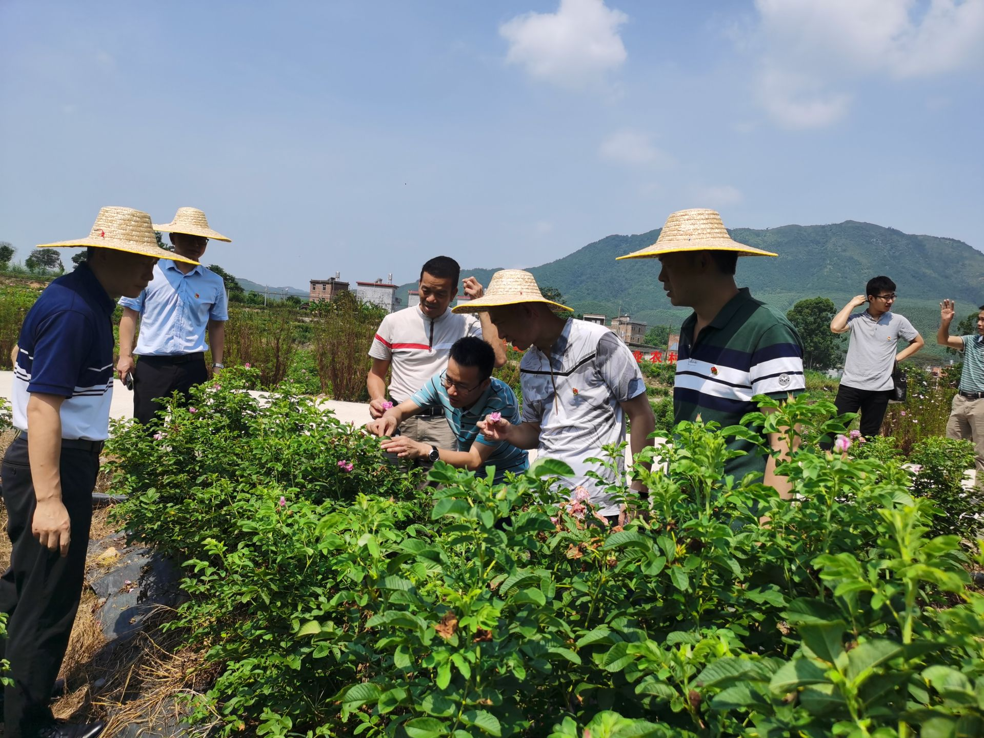 深心向党·振兴有我 | 漳溪乡工作队：从宏观上规划，在微观里帮扶