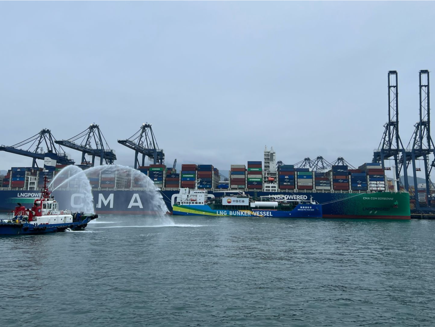 进口水果不间断供应，2022年国内首条智利车厘子直航快线顺利靠泊盐田港