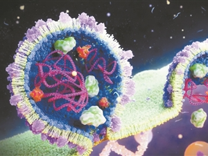 古代病毒嵌入人类基因组、“僵尸”病毒复活······2022年病毒研究领域十大发现