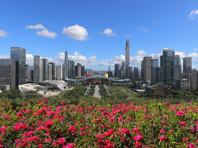 加强国家对外文化贸易高质量发展座谈会在深圳举办