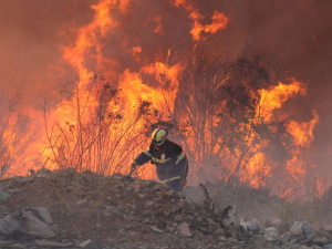 智利近期山火频发 超7000公顷森林被烧毁