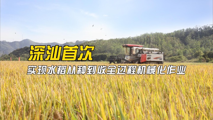 深汕首次实现水稻从种到收全过程机械化作业