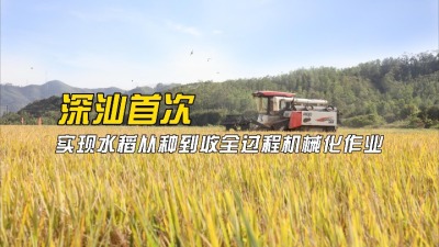 深汕首次实现水稻从种到收全过程机械化作业