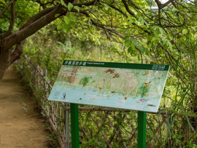 坪山全域自然博物① | 坪惠湿地步道：串联两大湿地公园，家门口的“天然氧吧” 